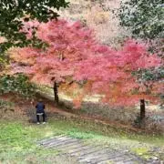 ☘️kao1120☘️即日発送♣︎の画像