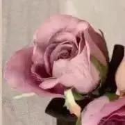 くるみの画像
