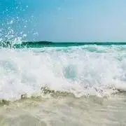 mettyaの画像