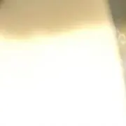 たこ