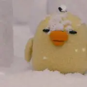 ♡