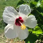 mikiの画像