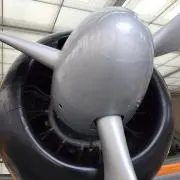 Rossiの画像