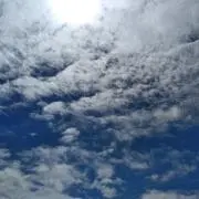 めめ
