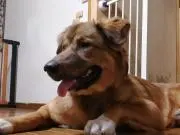 くにこの画像