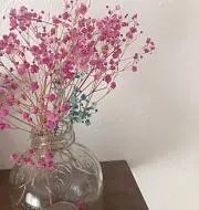 hrk___の画像