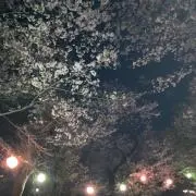 とまと