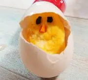 ウノウニコ