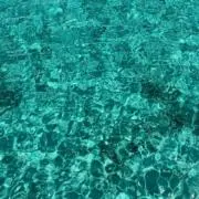 ハット