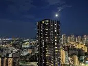 なおぺいの画像