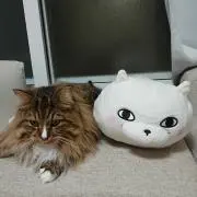 凌まま