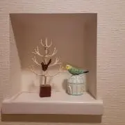 キラキラ✨