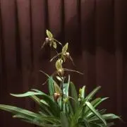 May
