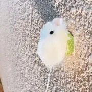 おちゃ※値下げ交渉不可※の画像