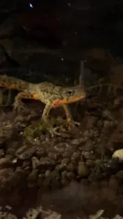 HIROの画像