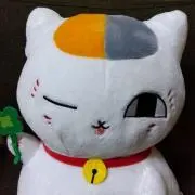 satosyuntanの画像