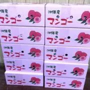 ☀️宝箱☀️の画像