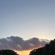 peachの画像