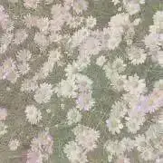 ちしすの画像
