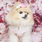 みるく♡の画像