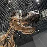 u.i.の画像