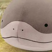 どおーの画像