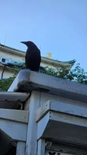 シロップ