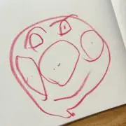 すずちゃんの画像