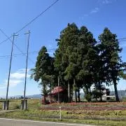 maruの画像