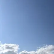 ぱおーん！の画像
