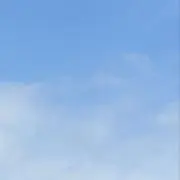 popoの画像