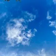Miyataの画像