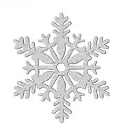 SNOW DROPの画像