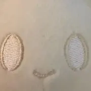 ここ