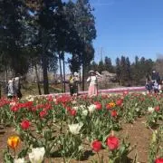 みほの画像