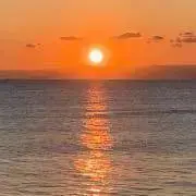 SunRiseの画像