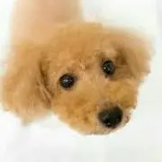 ヒッキー♡セール中