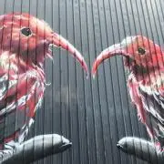 まっちゃの画像