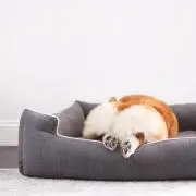 unico 2扉キャビネット unico 2扉キャビネット - メルカリ