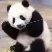 かっちゃん★プロフ必読★の画像