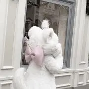 ★の画像