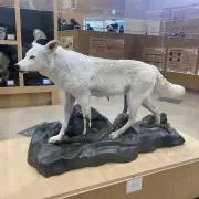 spireの画像