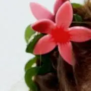 Ume Daikonの画像