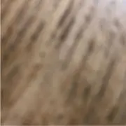 サトゥの画像