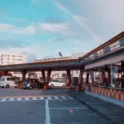 みーの画像