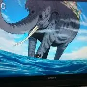 ズニーシャ