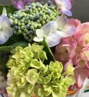 みそにこみ