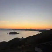 myg