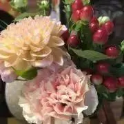 ☆ぴーたん☆ご購入後、コメ必須です✴︎の画像