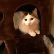 mの画像
